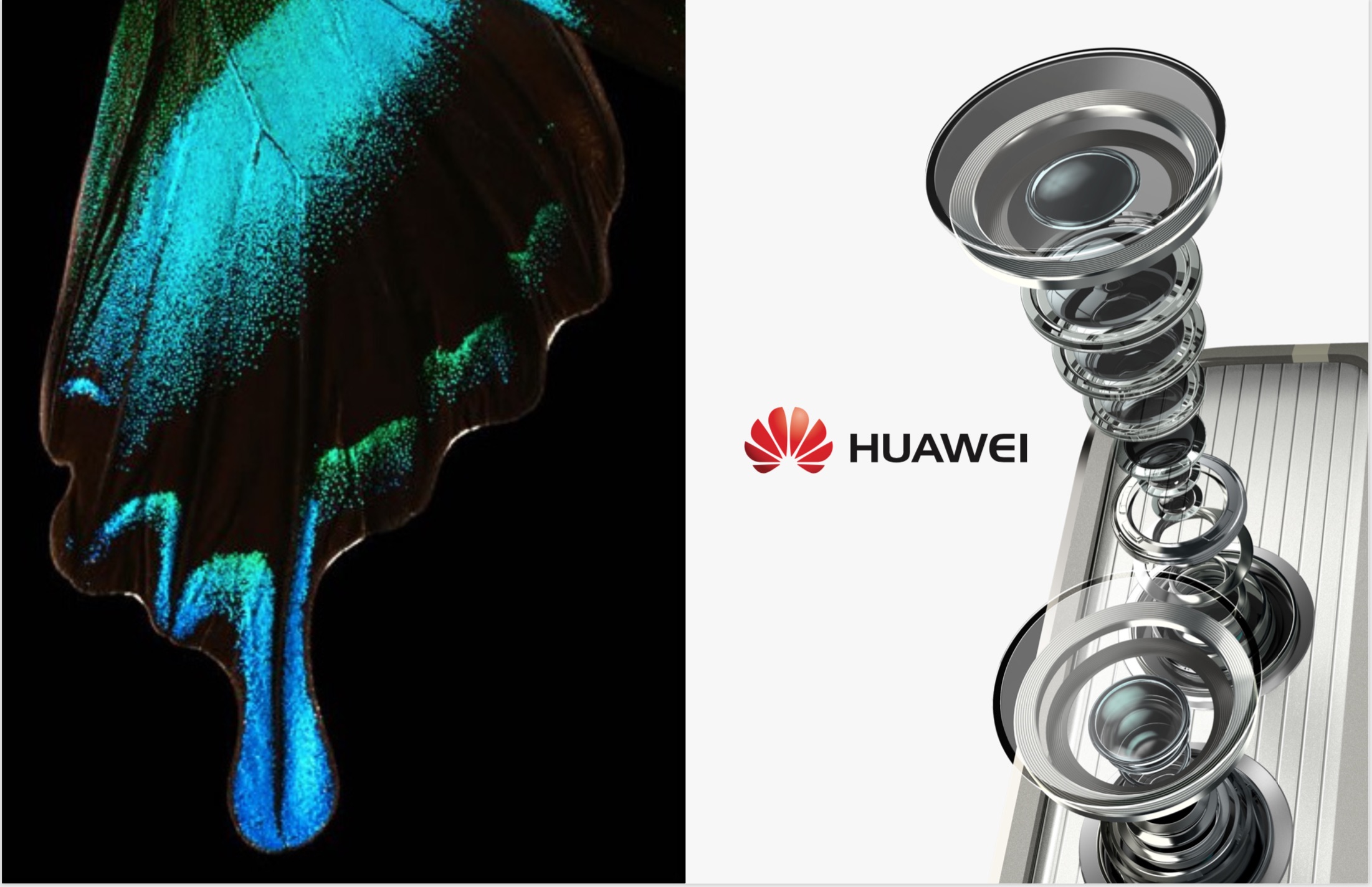 Screen Shot 2019-06-07 at 6.17.20 PM.jpg