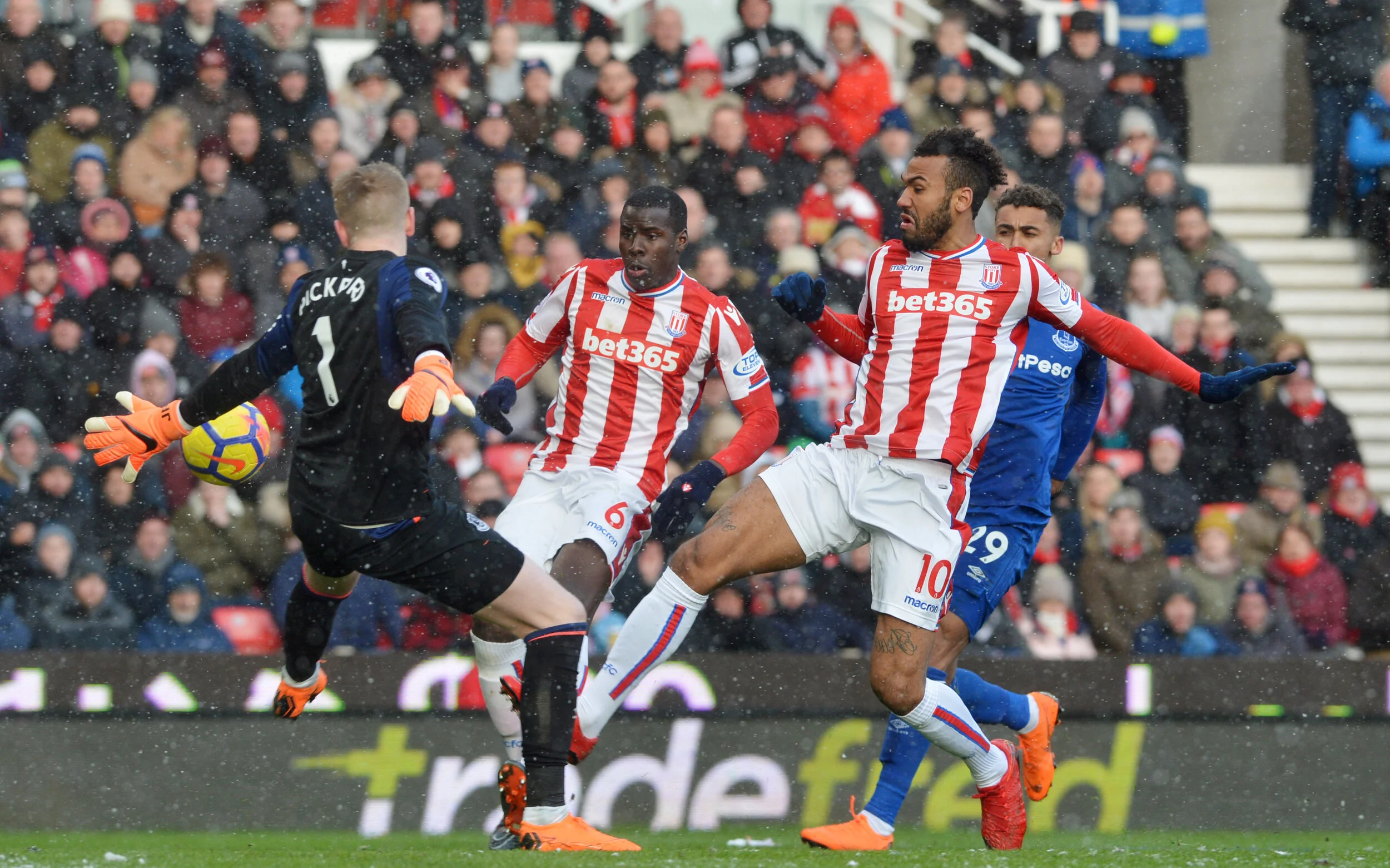 Copy of STLB20180317D-010_C.JPG