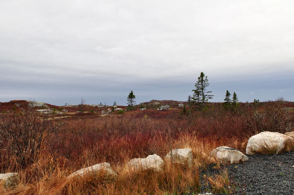 Nova Scotia