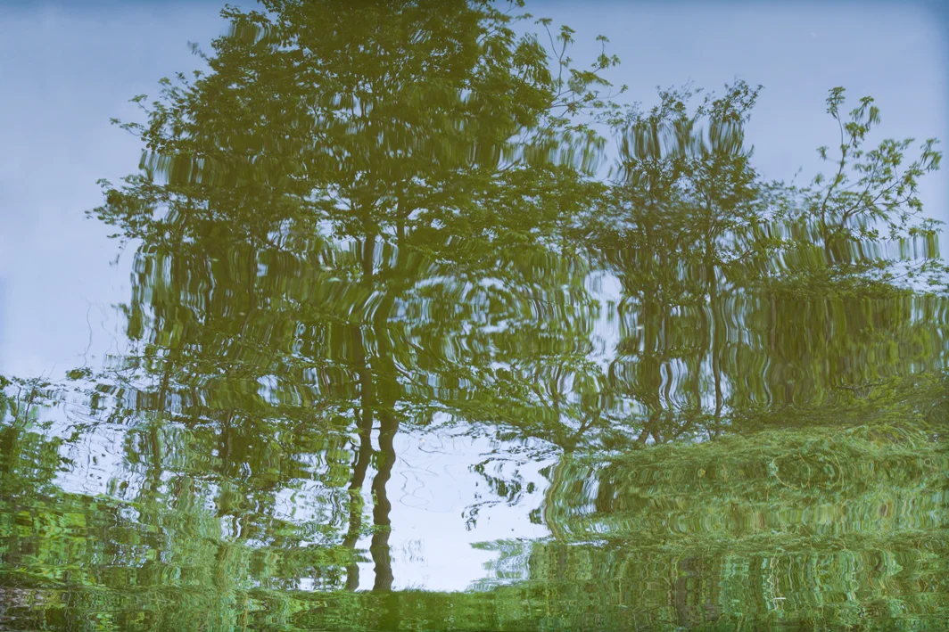Water-Settling.jpg