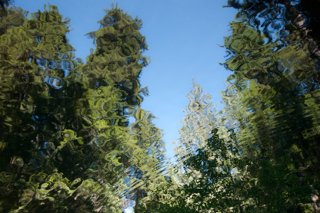 1. Water-Uprising.jpg