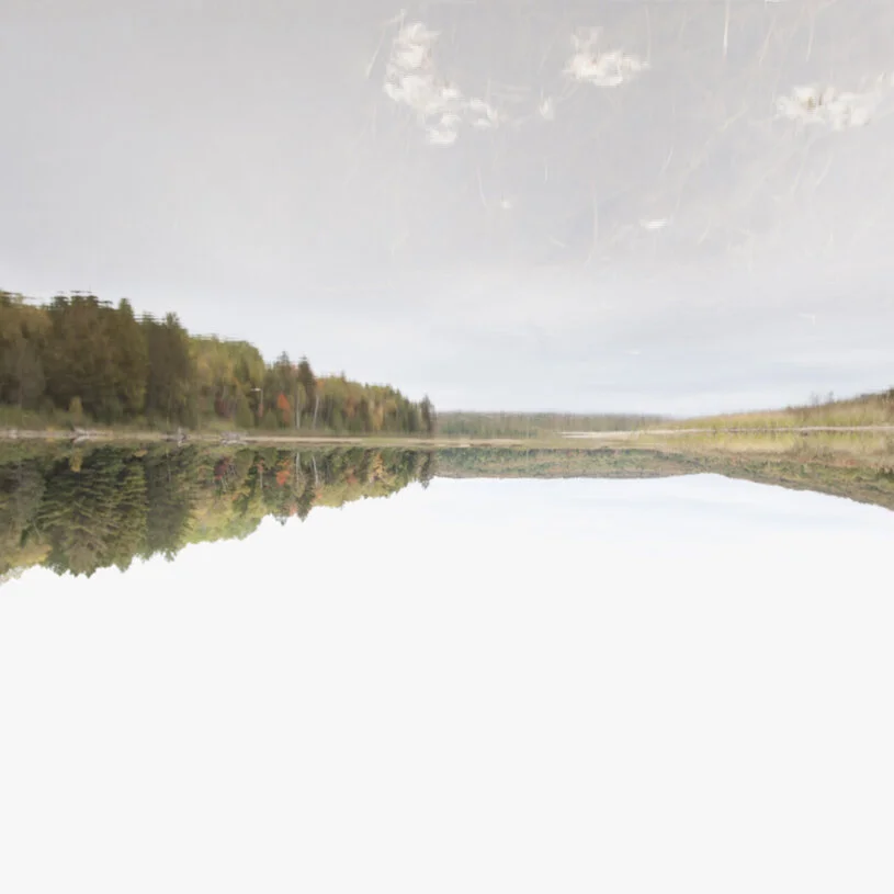 05.Inversion copy-moo.jpg