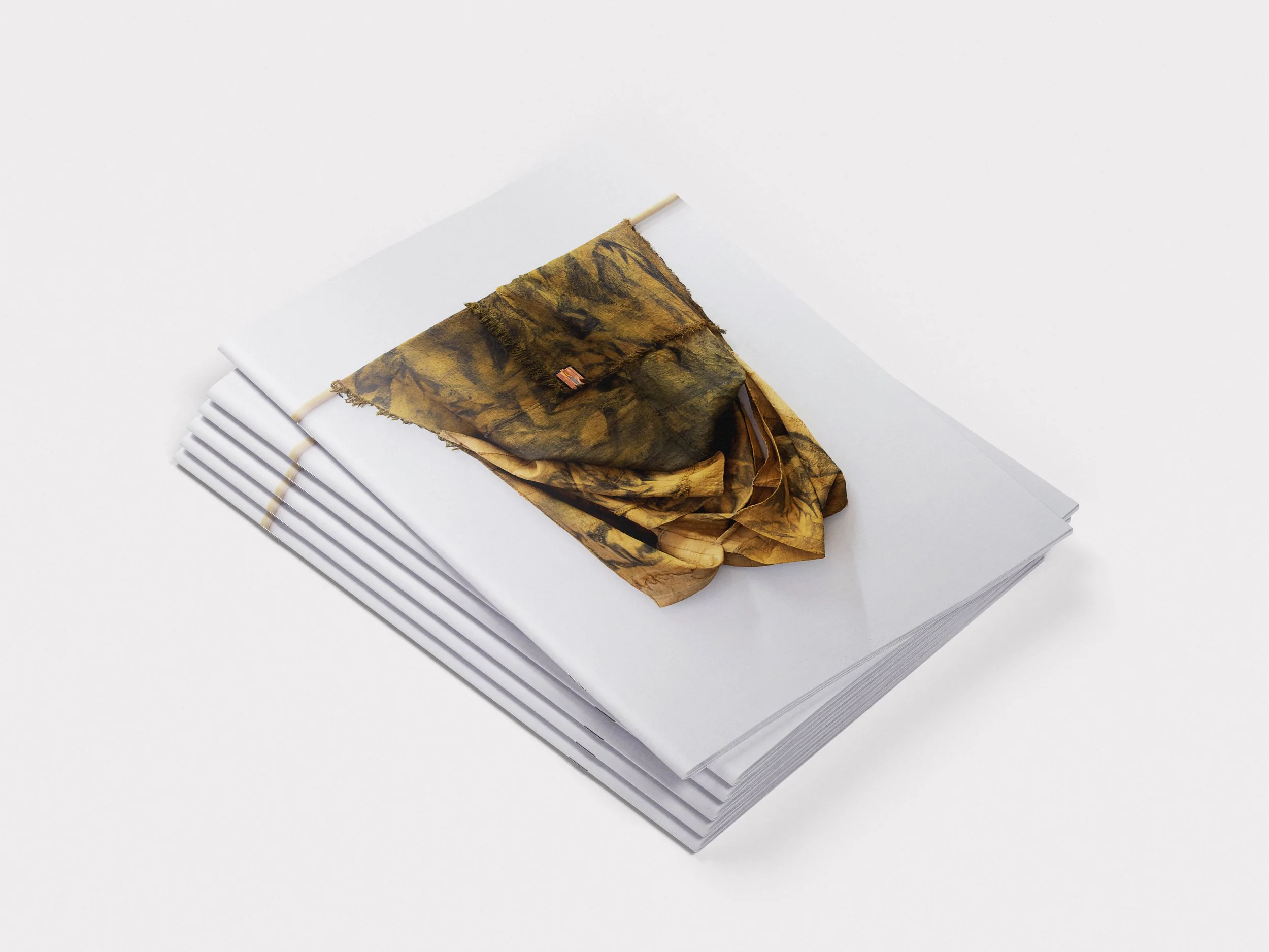 Publication &amp; Exhibition Didactic Design - Erratic Behaviour