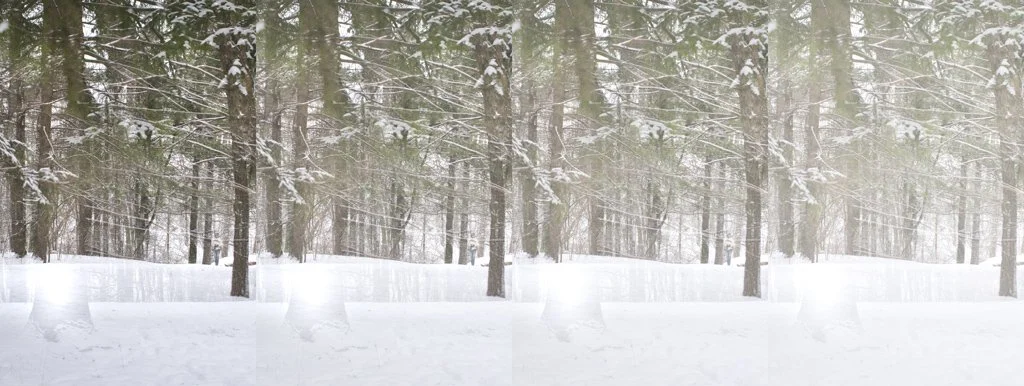 Fading 3 - for web.jpg