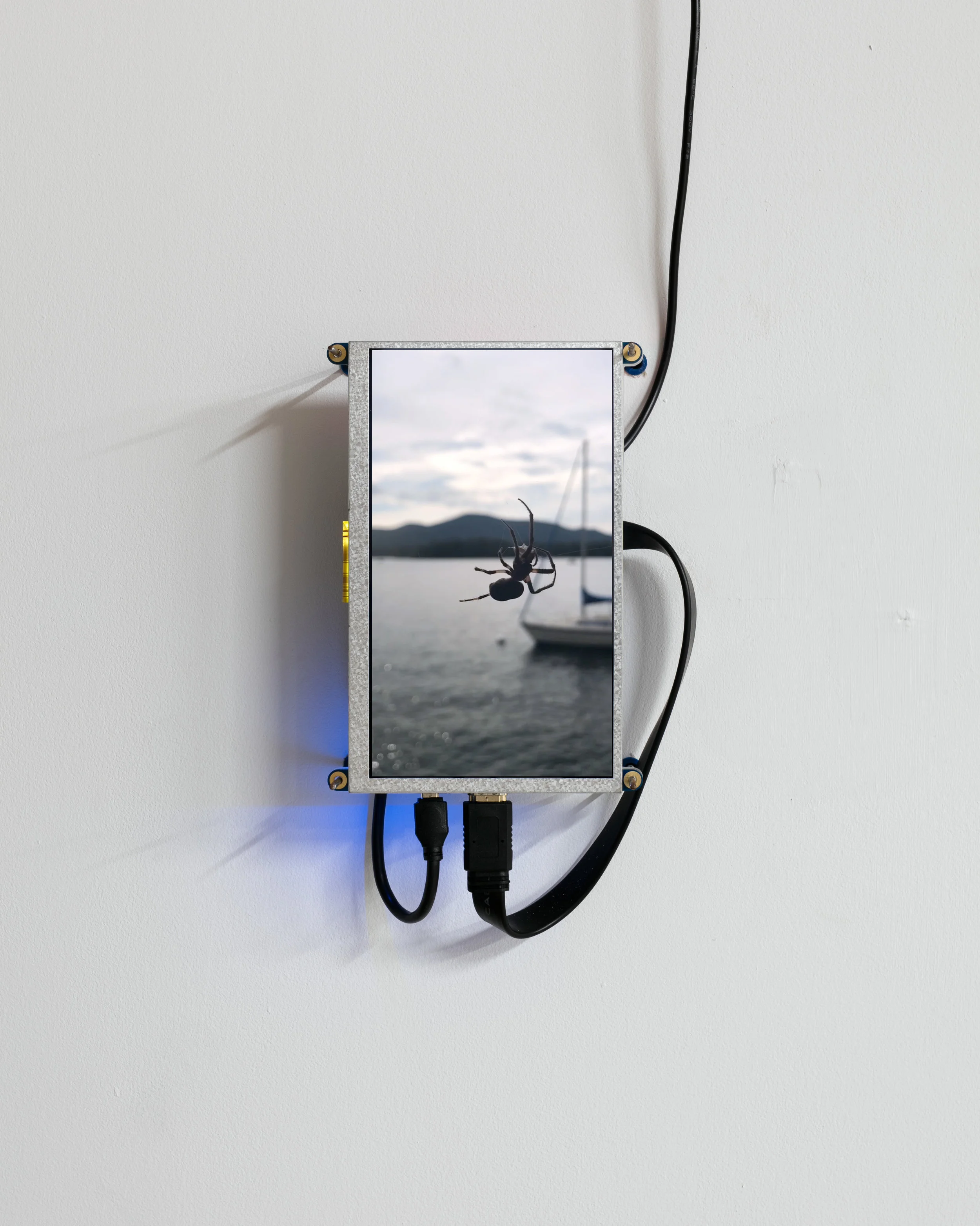 Spider (like water), Raspberry Pi, plexiglass, steel, anchors, digital video loop, 2018