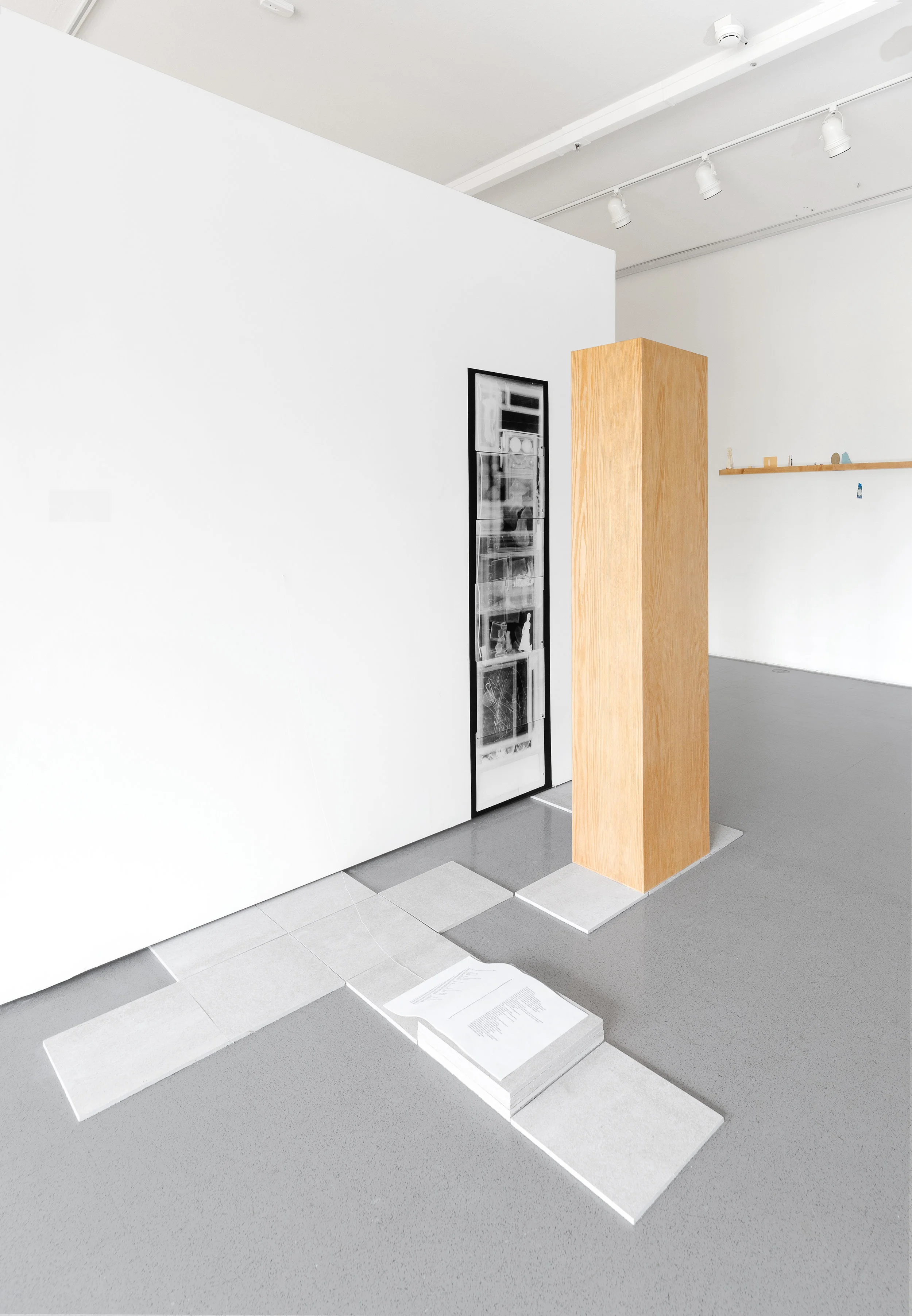 A box containing (My Statement is Material) , Red Oak plywood, 41 boxes of internal object arrangements, inkjet print of digital X-ray made in Objects Conservation, book of contents, 2015