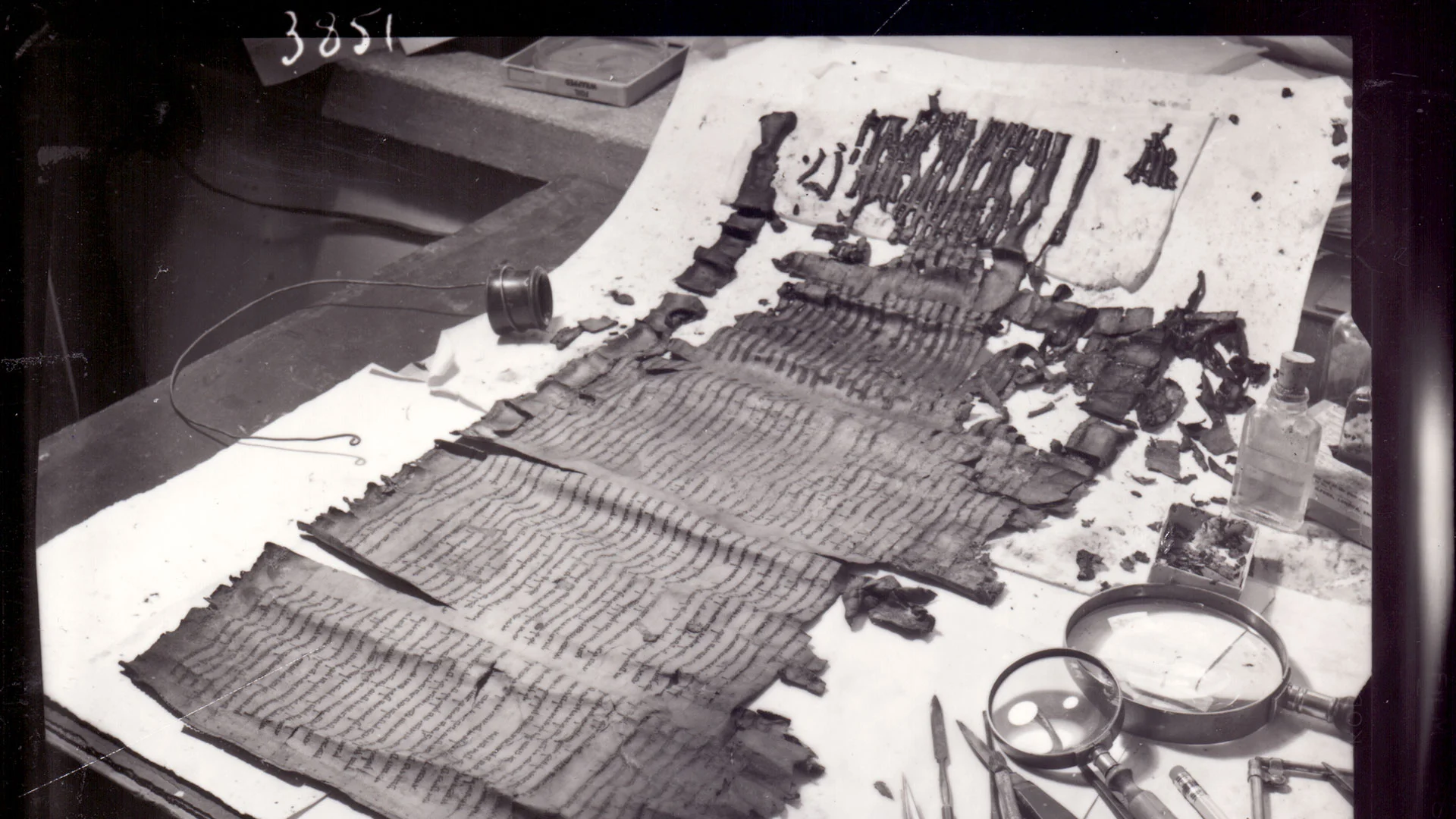 The Diverse Worlds Currently on Display at the Israel Museum