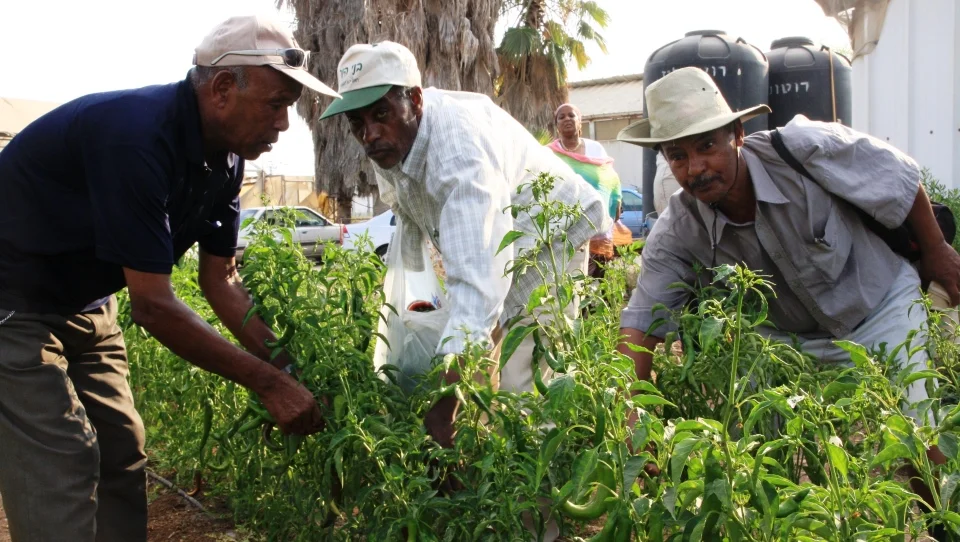 Experiential Ethiopian Village: Atachlit Beta Israel Village