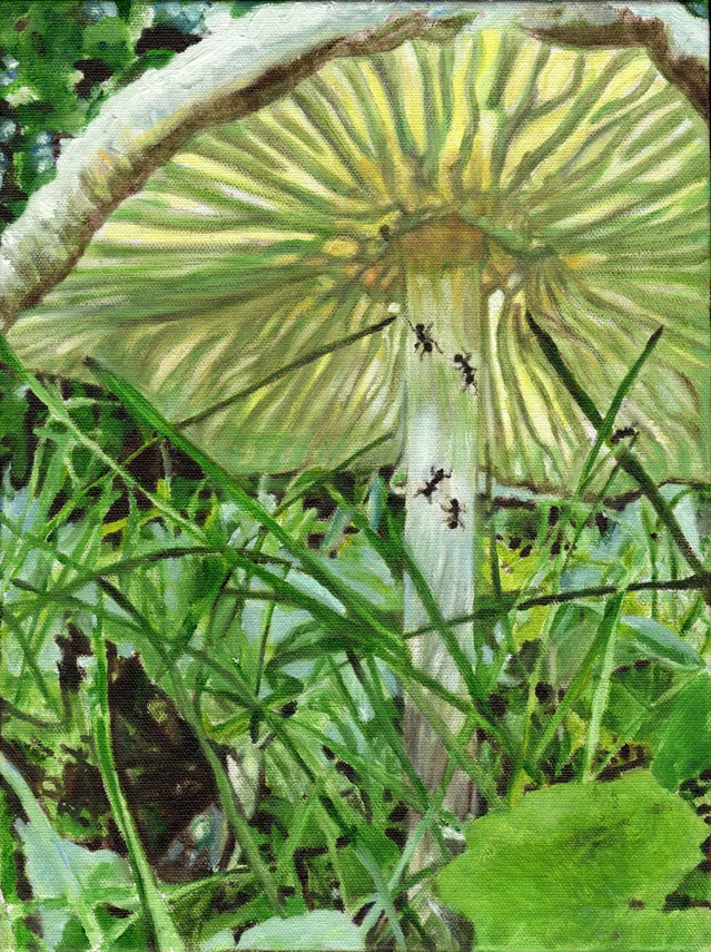web mushroom ant.jpg