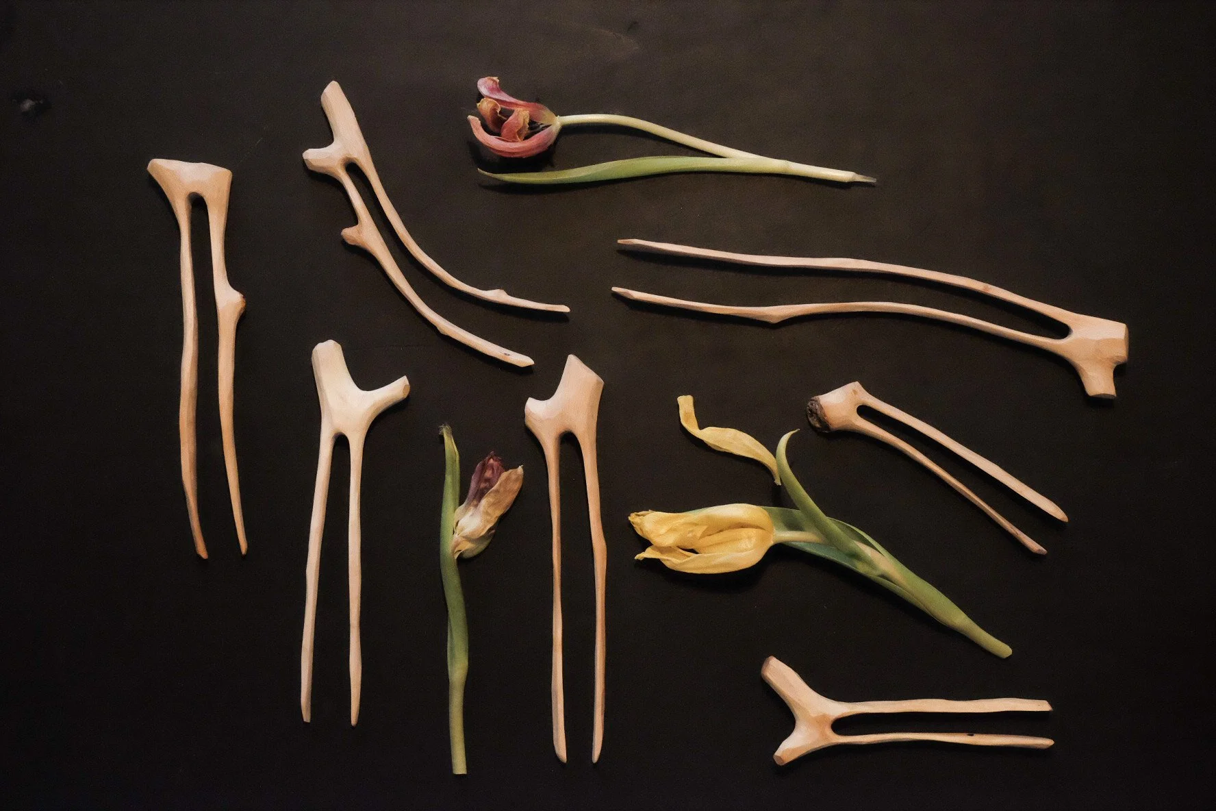 Surcursida: Rebecca Clopath