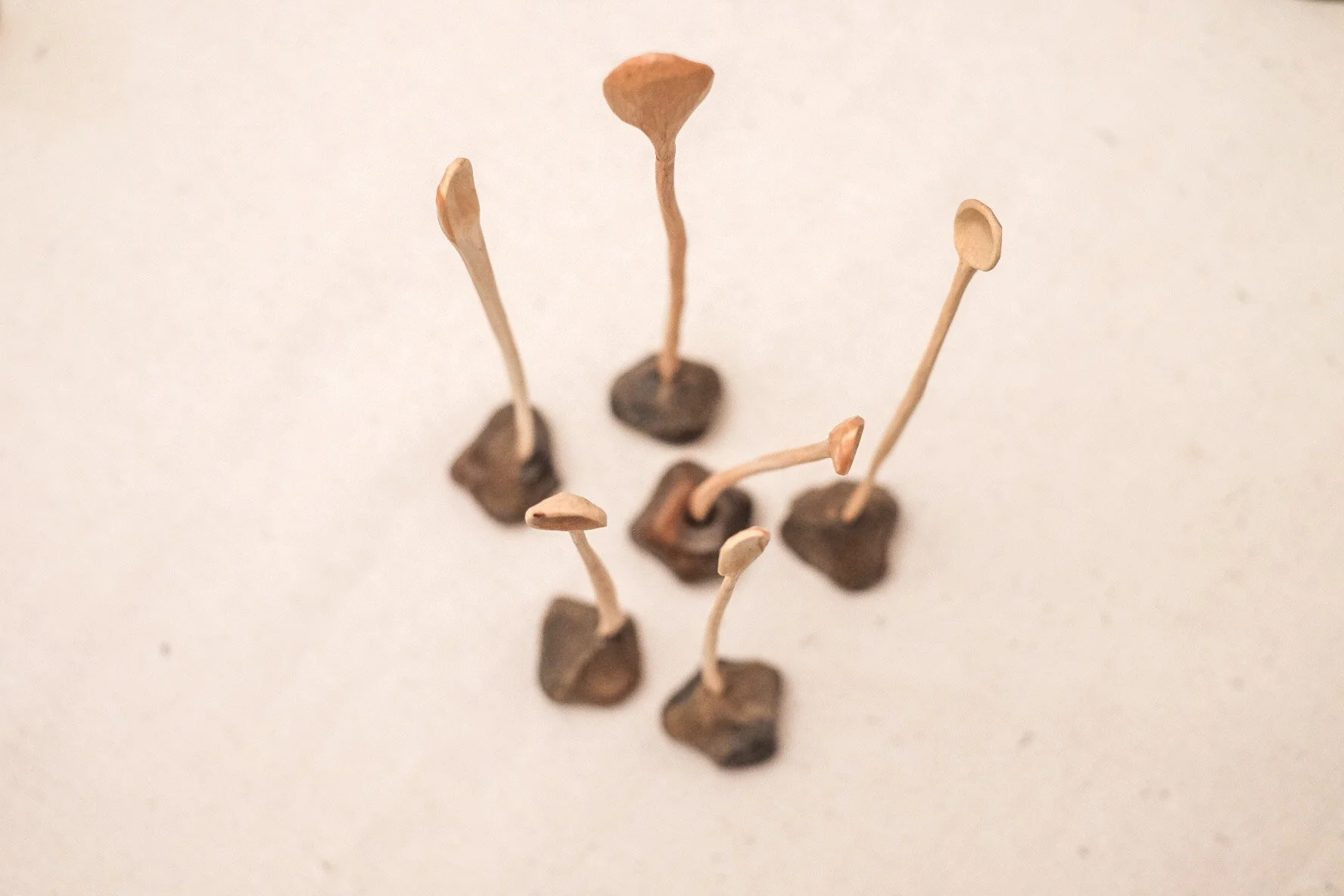 set of five wooden spoons with earthenware support