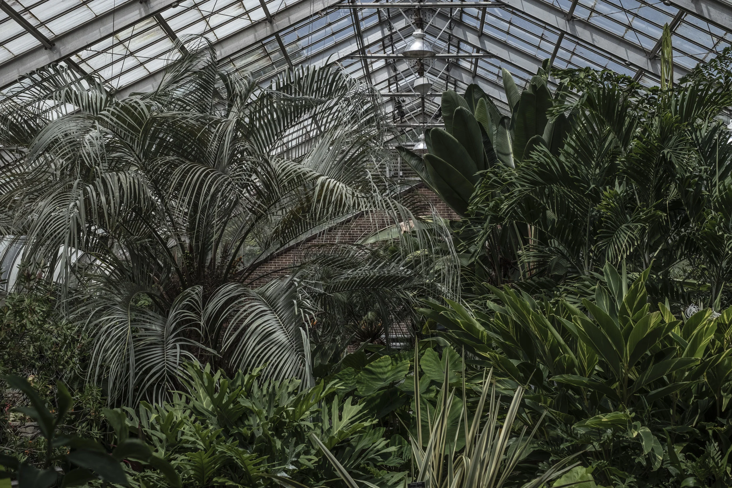 Brookside Gardens Conservatory