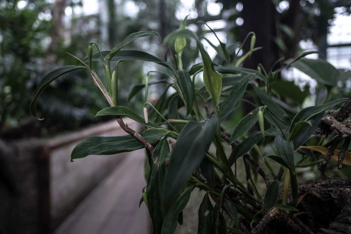 I realize now I wasn’t as good as I thought about documenting the names of each plant. Oops.