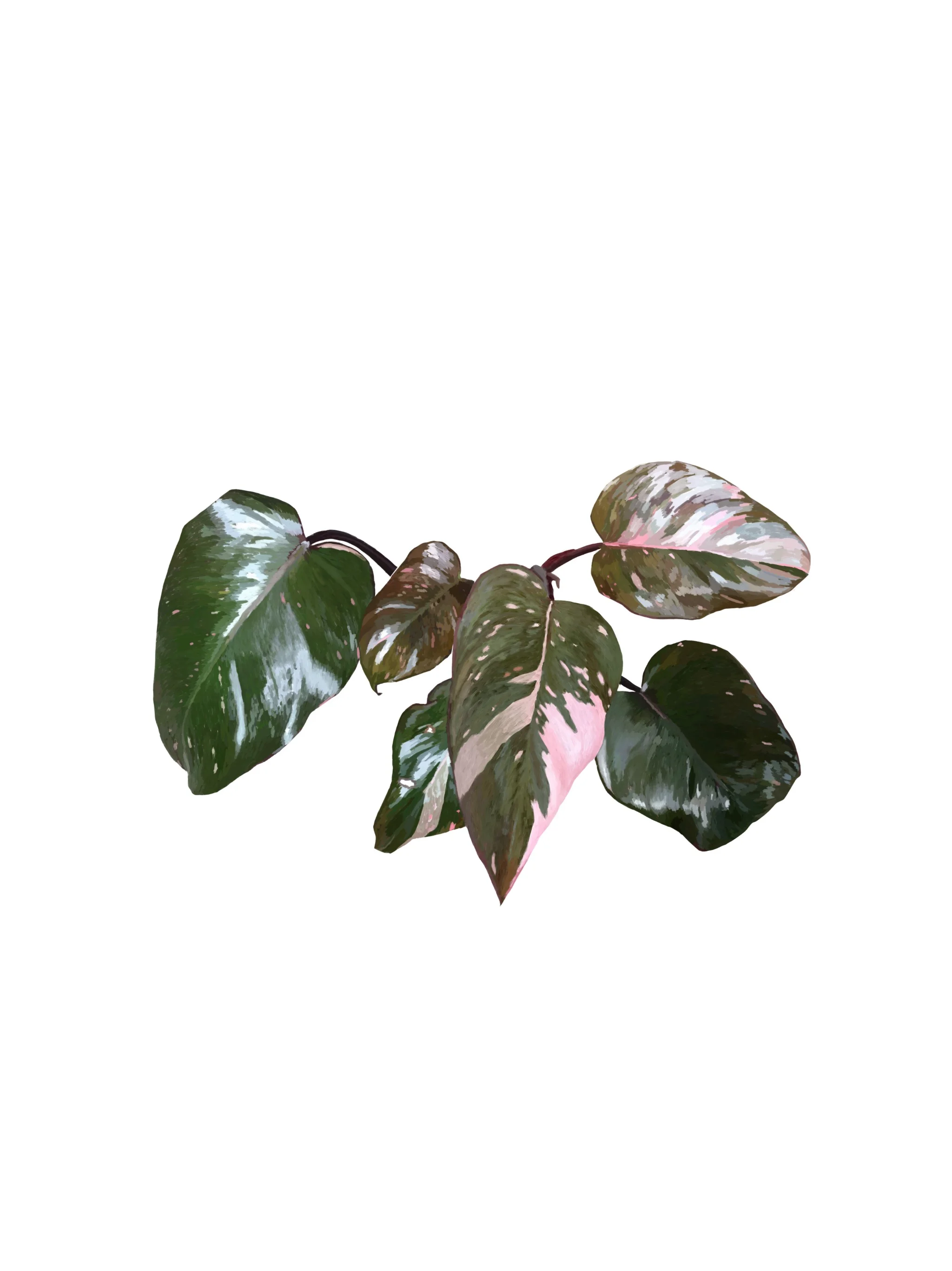 Georgia shared a sketch with you.jpeg