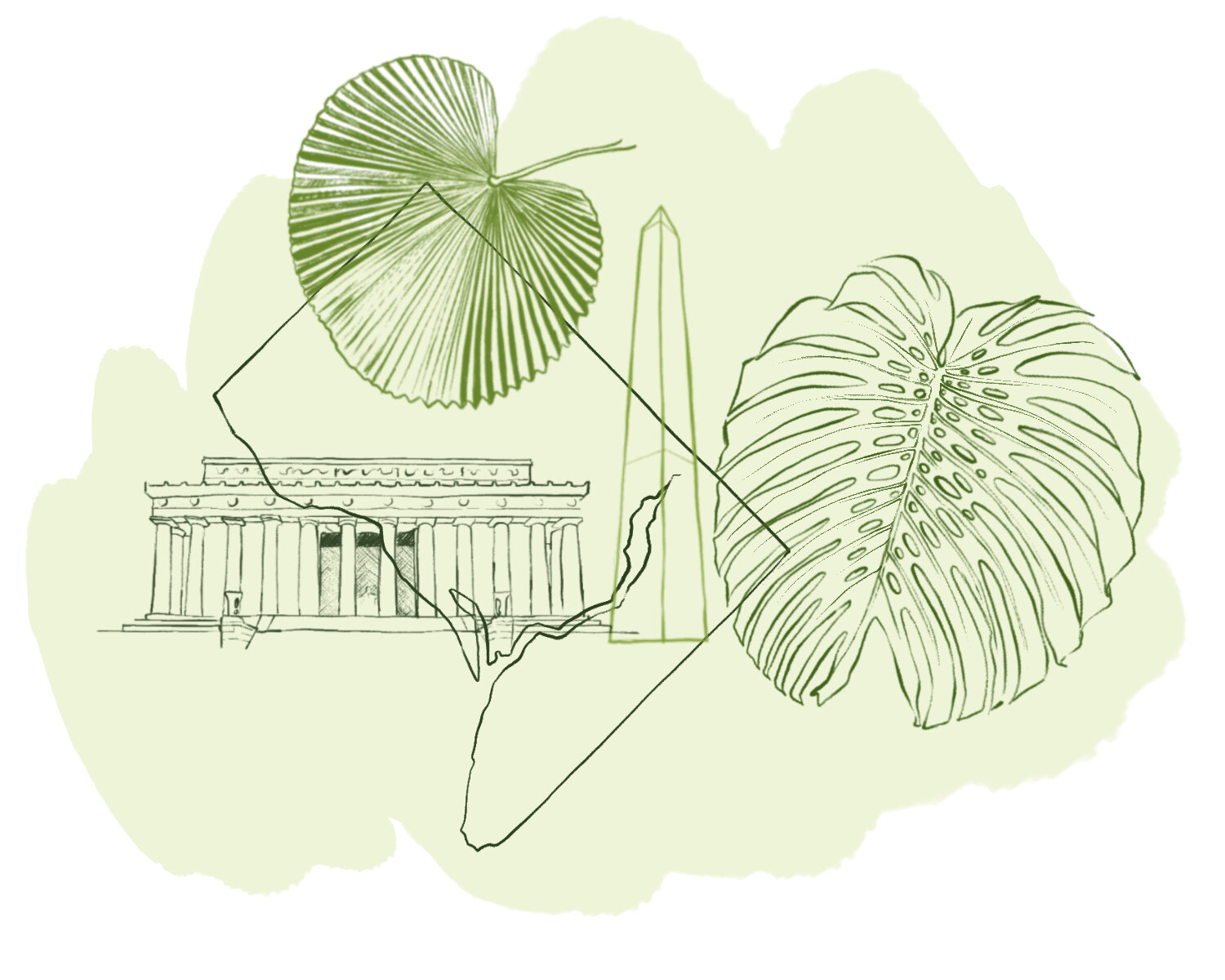 Plant Stores of the District