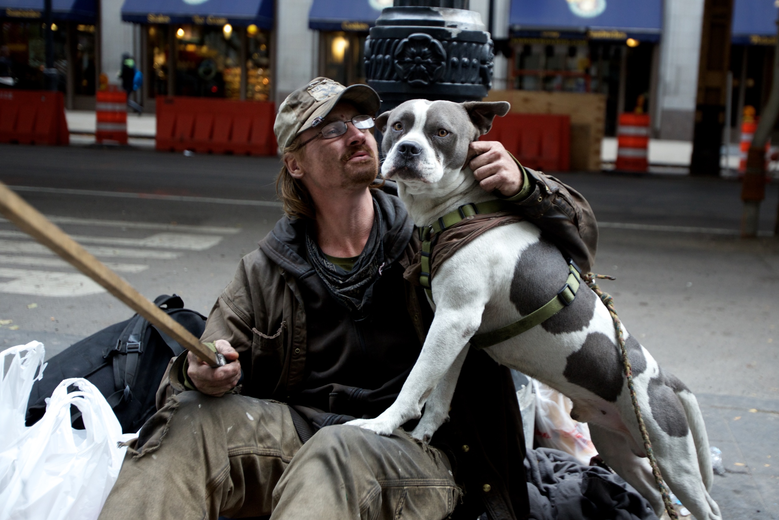 Man's best friend