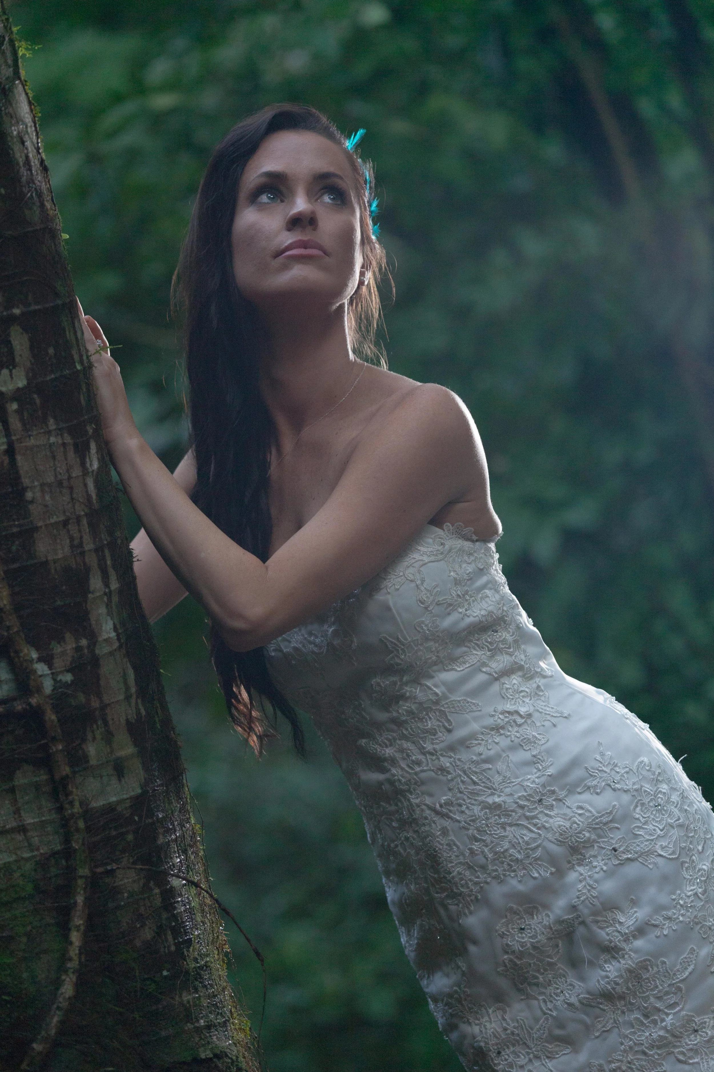 Elopement Arenal Nayara