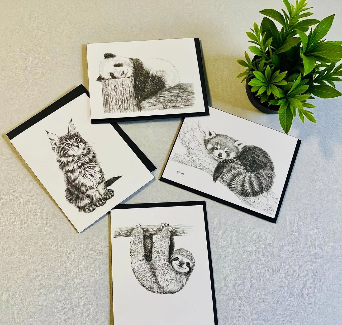 Marie-Mich&egrave;le Desmarais - LE NID 💚 @lenidatelier  #designquebecois #fusain #dessinaufusain #boutiquecadeau #artistquebecois #cartedesouhait #afficheanimaux #carteanimaux