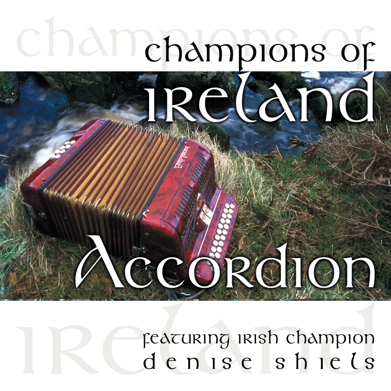CRCD3038 - Champions of Ireland - Accordion