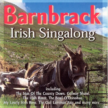 Barnbrack - Irish Singalong.jpg