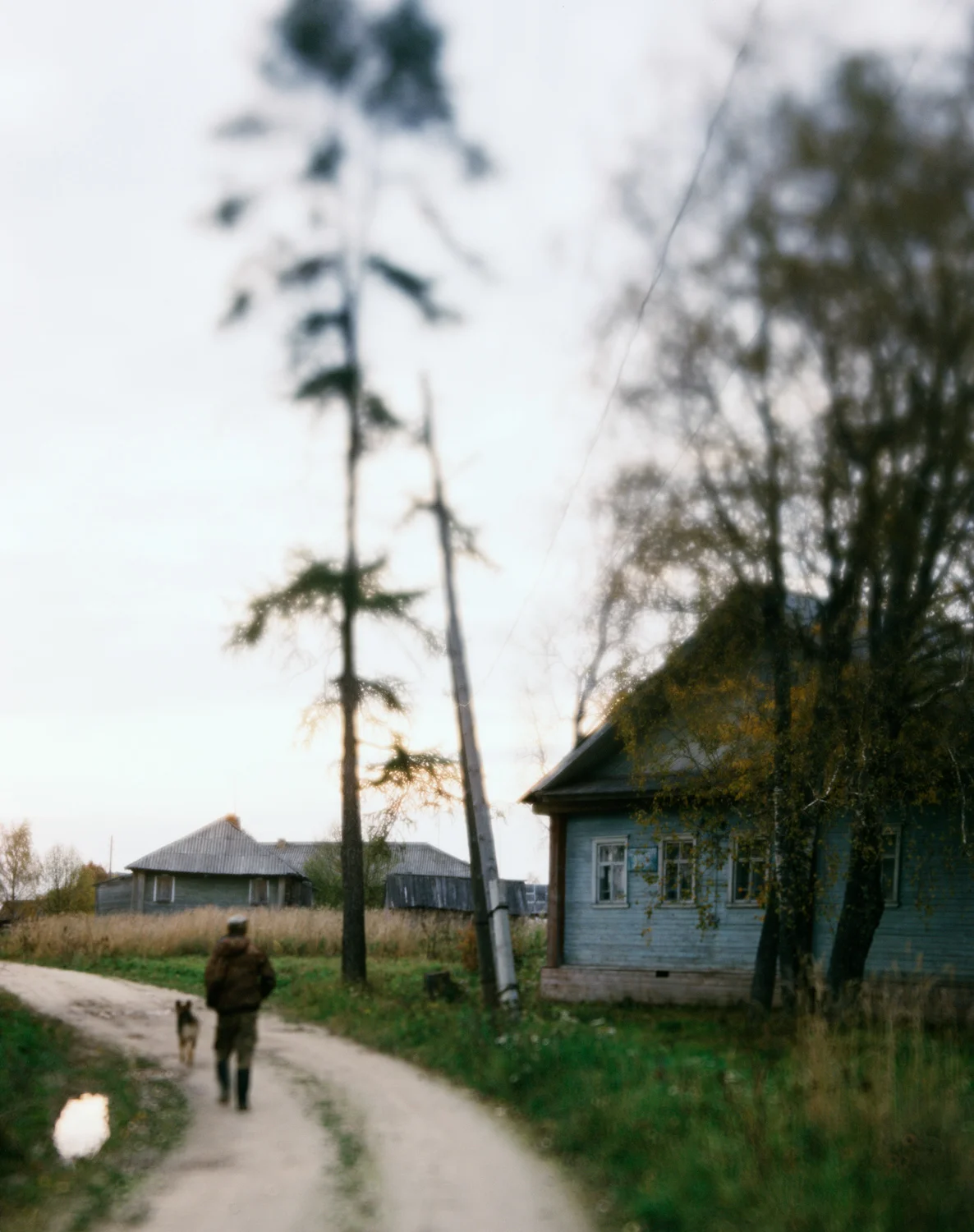 29_KARGOPOL.jpg