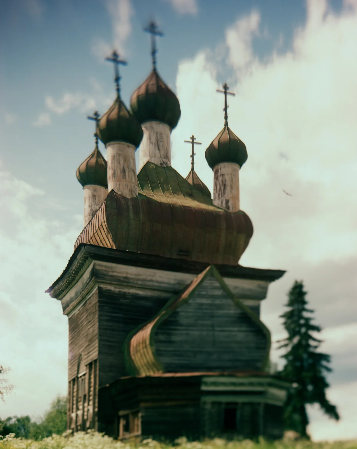 35_KARGOPOL.jpg