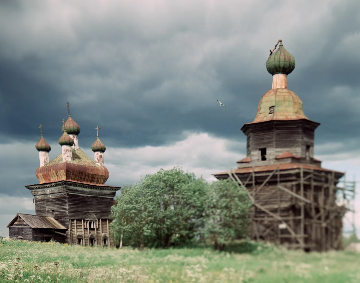 36_KARGOPOL.jpg