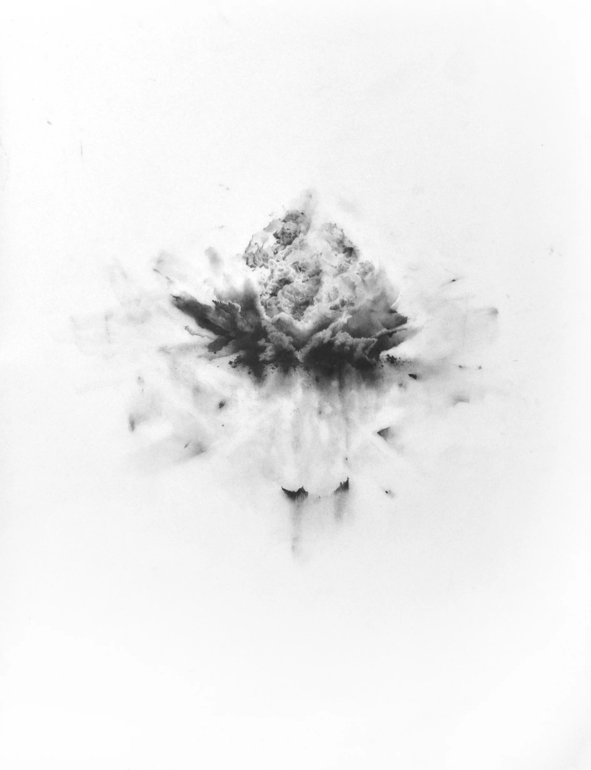 Wholes , Graphite on mylar, 36"x28", 2015