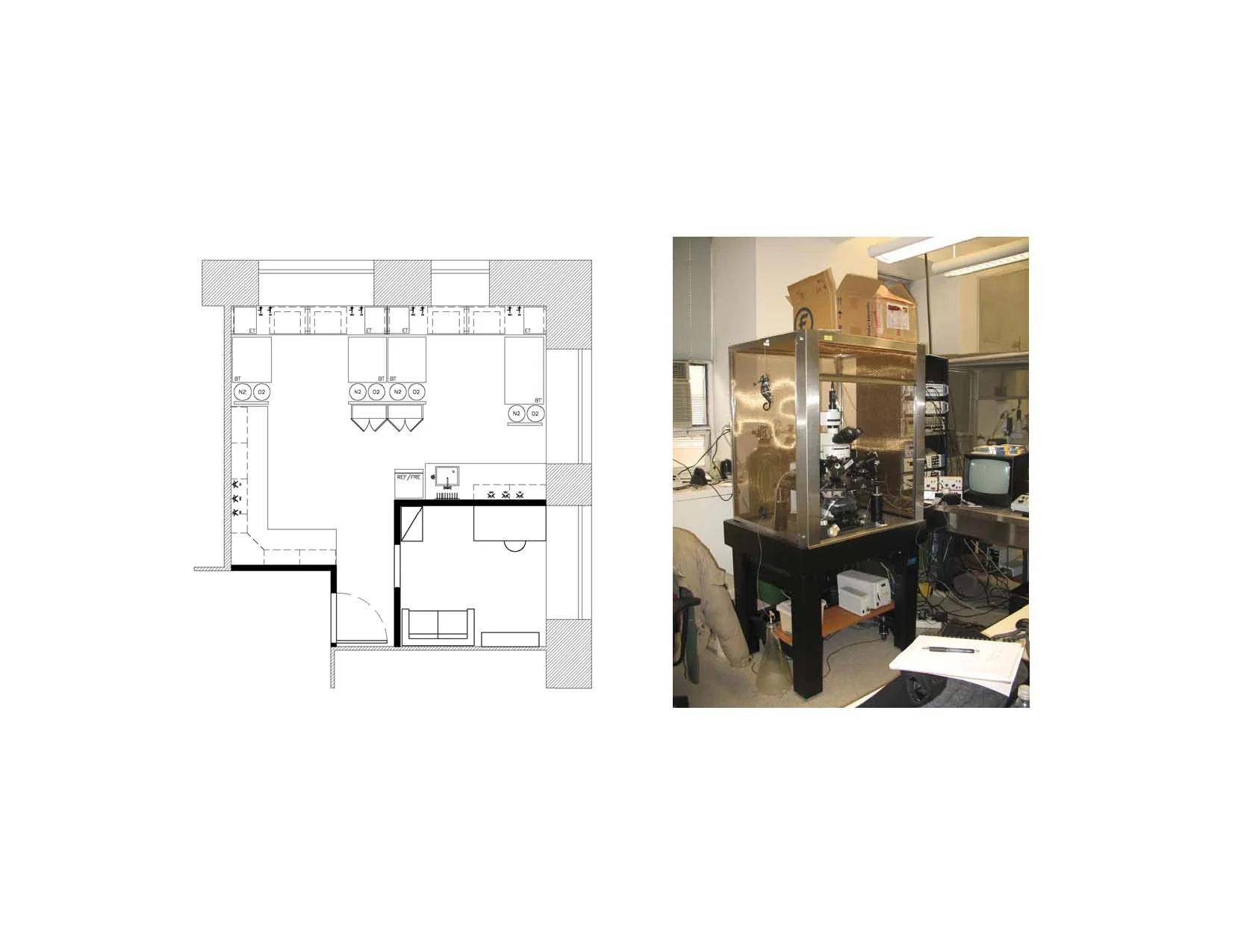 SUNY DOWNSTATE PATHOLOGY LAB