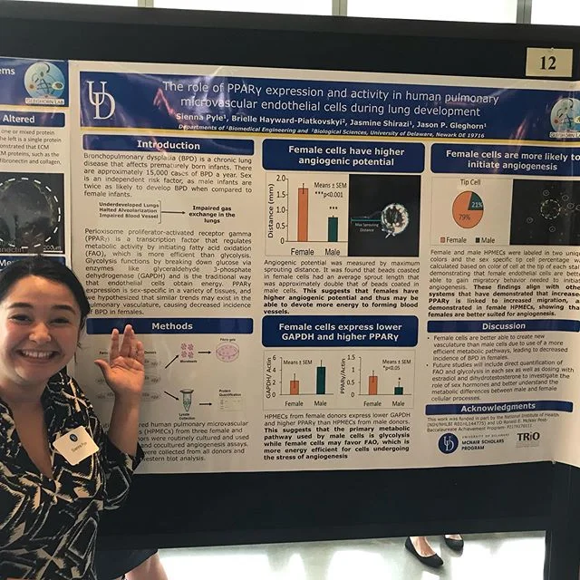 Some of our wonderful undergrads presented posters of their work at the @udelaware summer research symposium