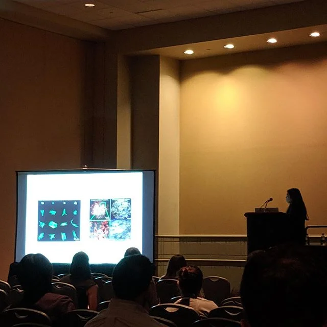 Allyson, Andrew, N’Dea, Catherine, and Dan presented their work at #BMES2019 yesterday and today. We’ve been having a great time so far!