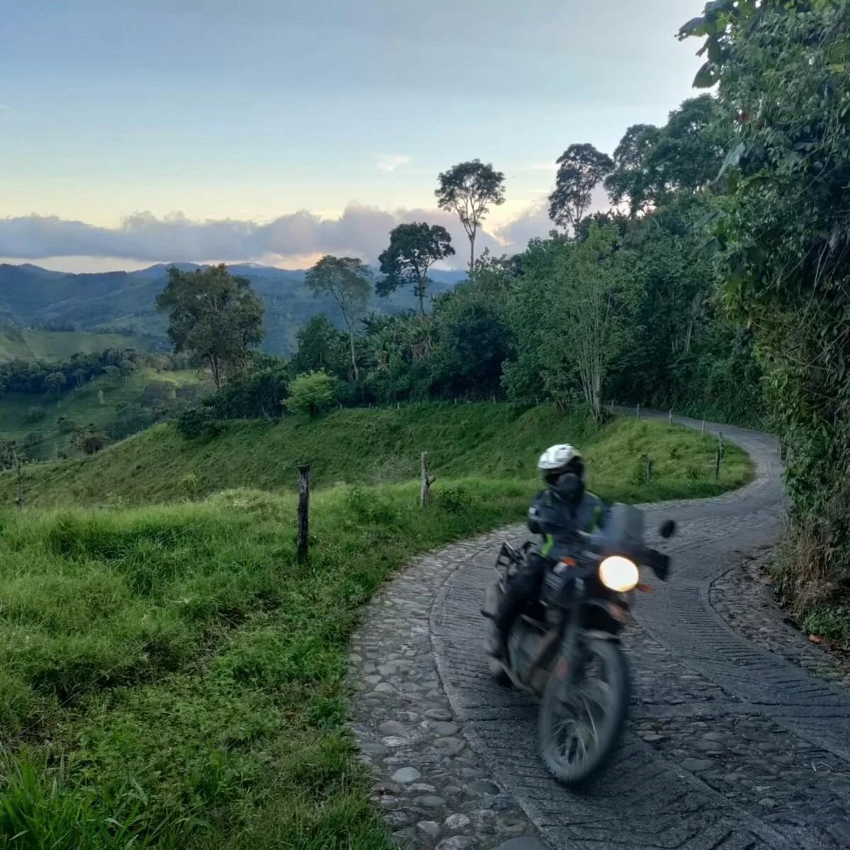 Valle de Cocora is not for us. It's very much a tourist destination. Yes, it has Colombia's iconic sky scraper palms, but it also has paths, rules, tourists and a multitude of pointless selfie sculptures. But we enjoyed an opportunity to stretch our 