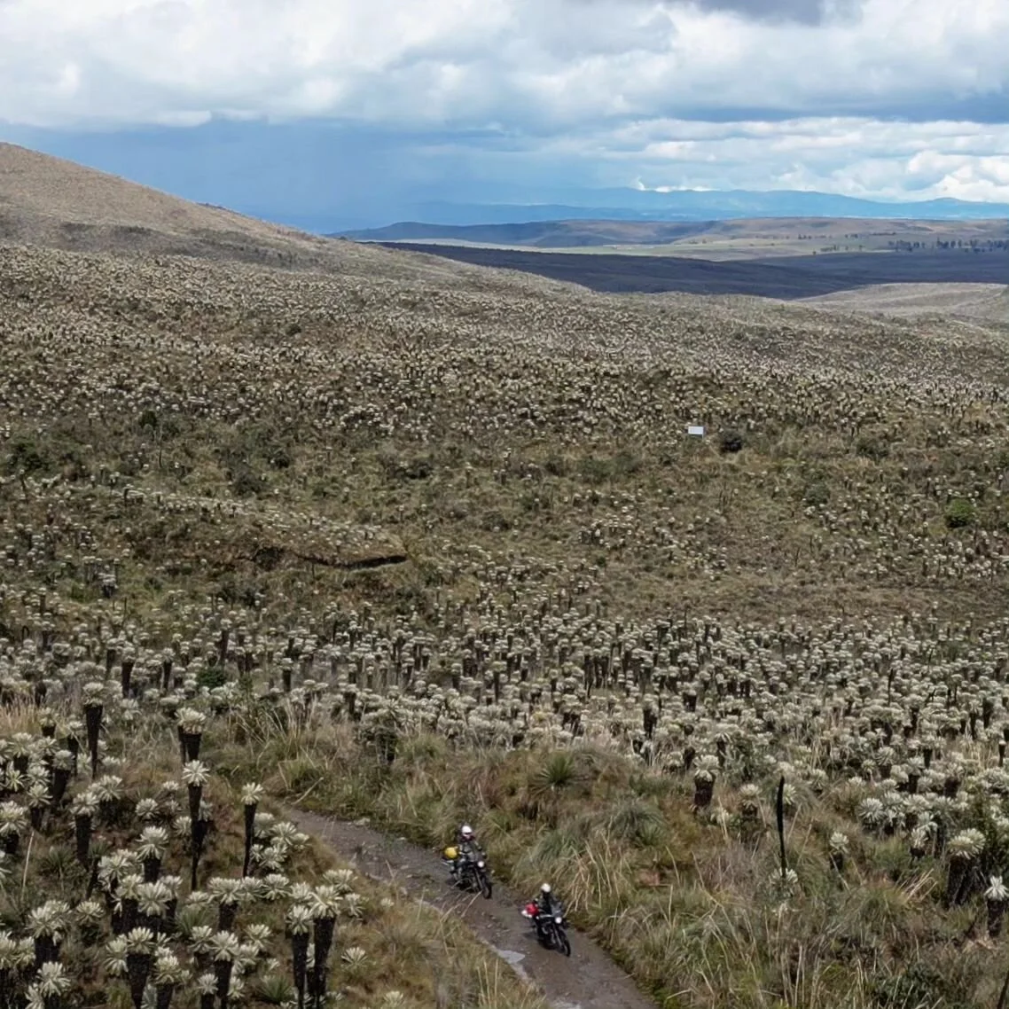 We departed Colombia via Pasto. A transit town with little to offer except accomodation and proximity to Ecuador.

Leaving at dawn, rain became sleet as our route accumulated altitude. Piling waterproofs on layers we pushed on, eventually staggering 