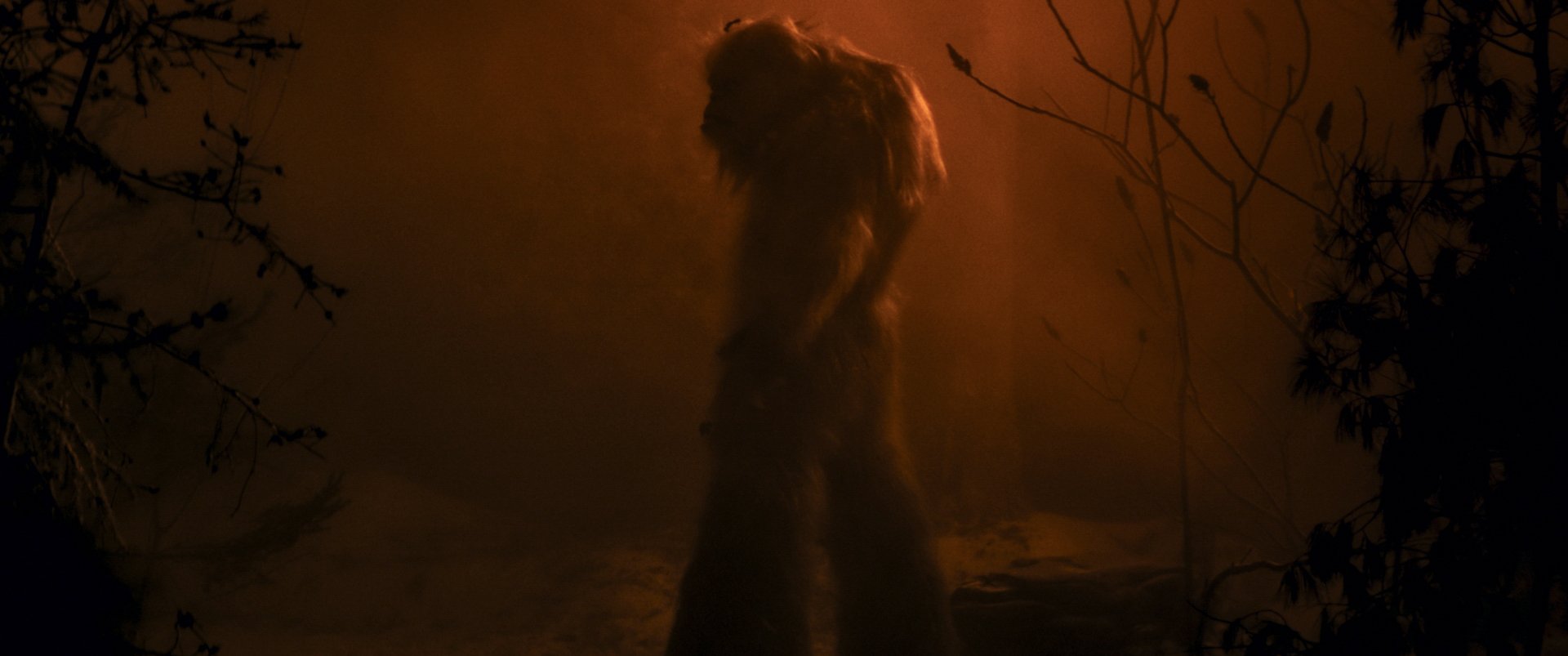 Timeline 1_02_12_52_20.jpg