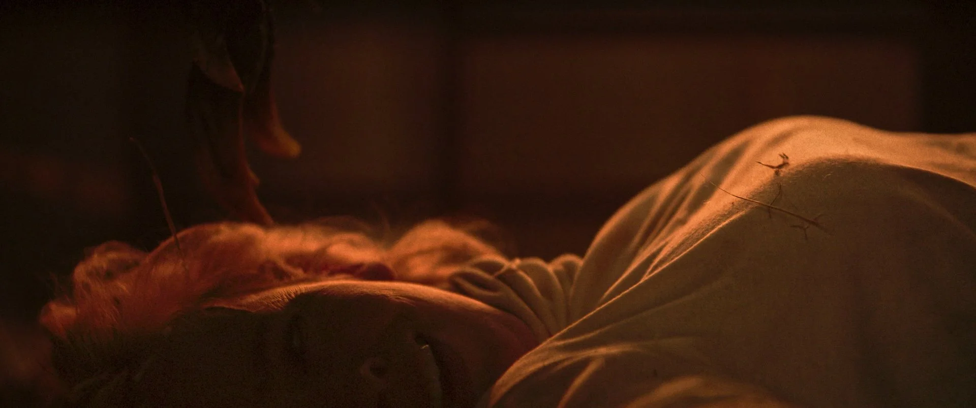 Timeline 1_02_14_49_01.jpg