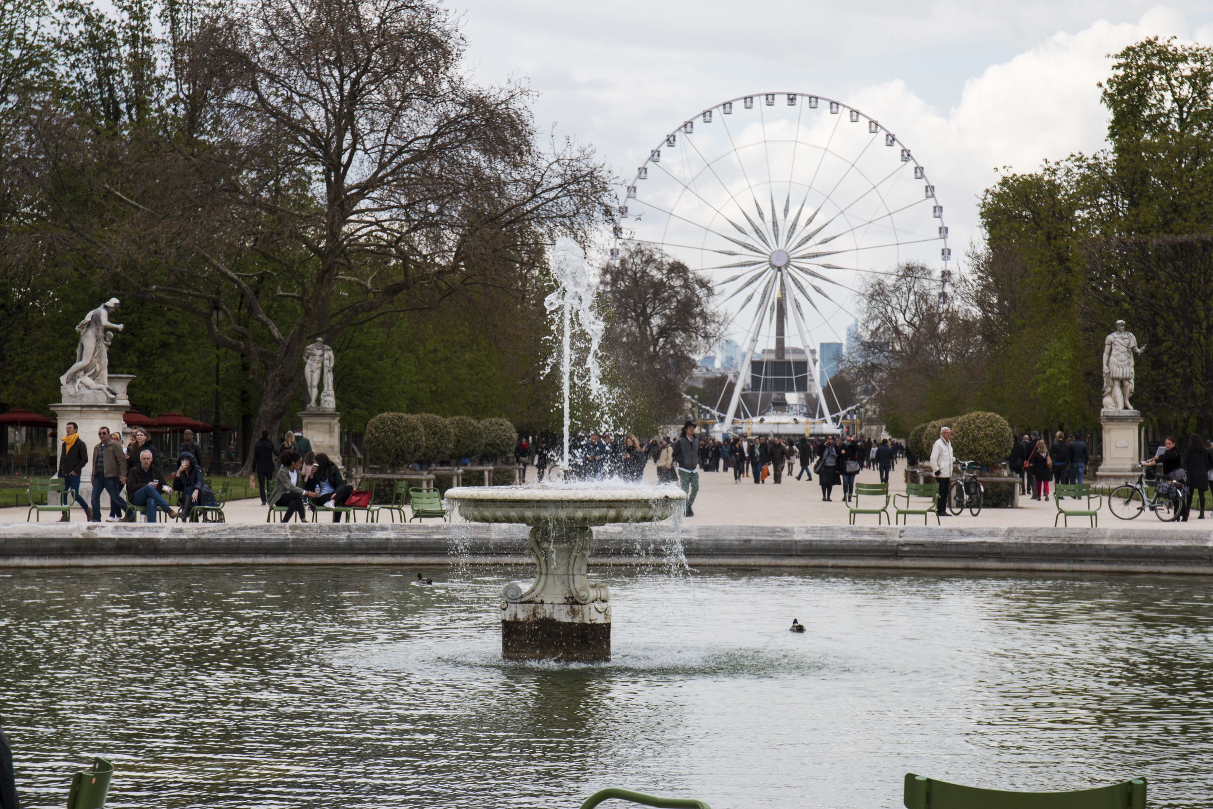 Walking through the park