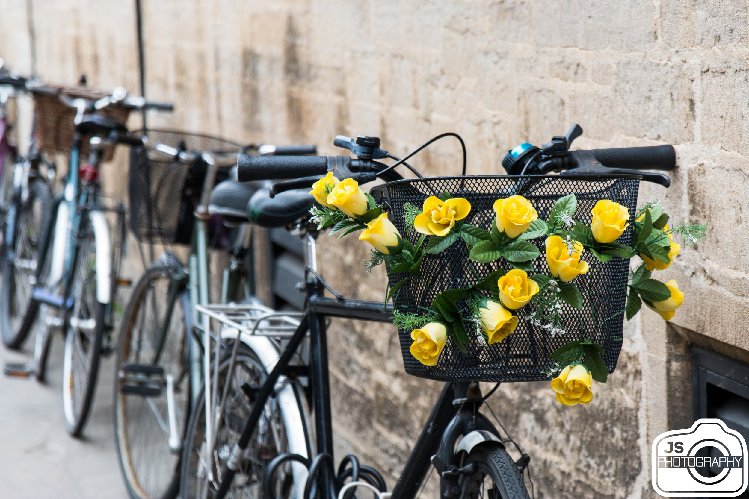 There are tons of people who bike in this city and they go fast! If you ever visit, be careful because they whip around the corners and zip through the streets. With that being said though, I did find this nice bike with flowers which I liked. 