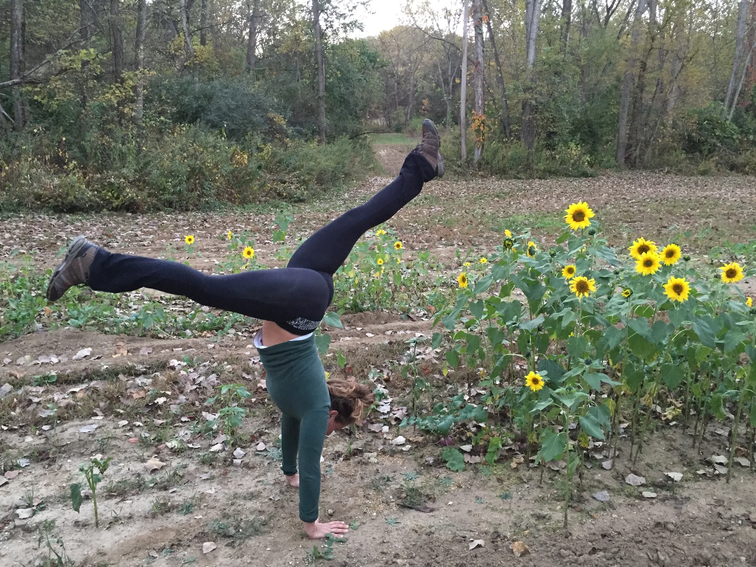 Midwest Yoga Tales