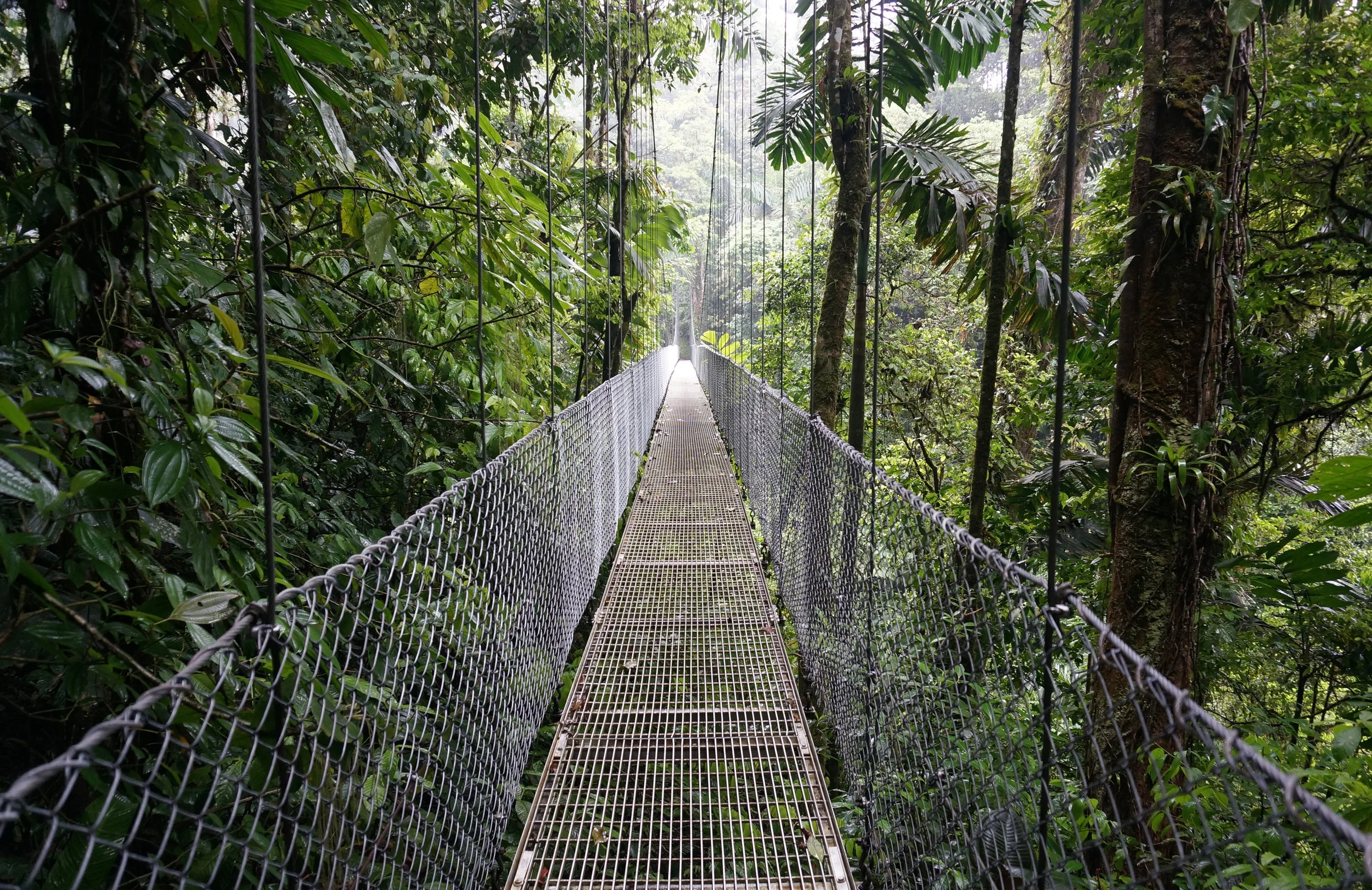 Suspended Bridge at La Fortuna