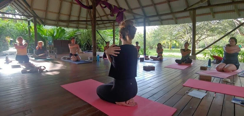 2022 Yoga Teacher Trainings with SYI