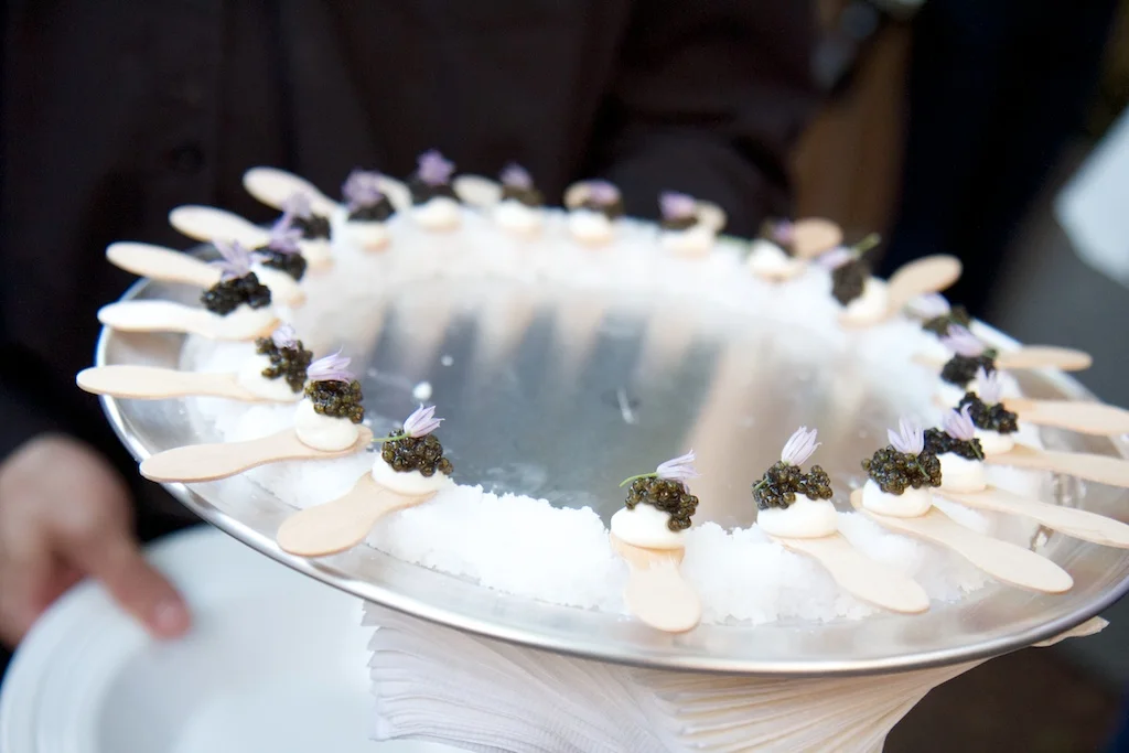 fortina_pizza_armonk_james_beard_house11.jpg