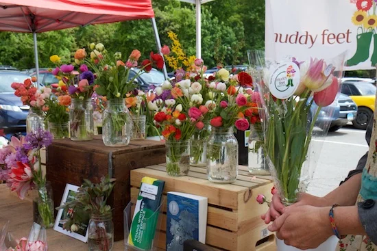 westport_farmers_market_opening_201513.jpg