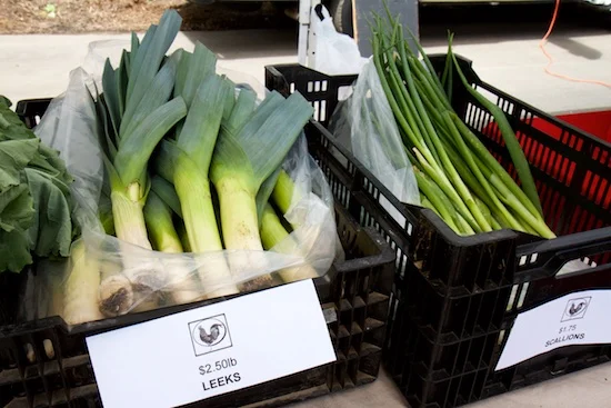 westport_farmers_market_opening_201516.jpg