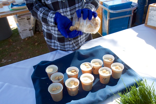 chowdafest_2014_23.jpg