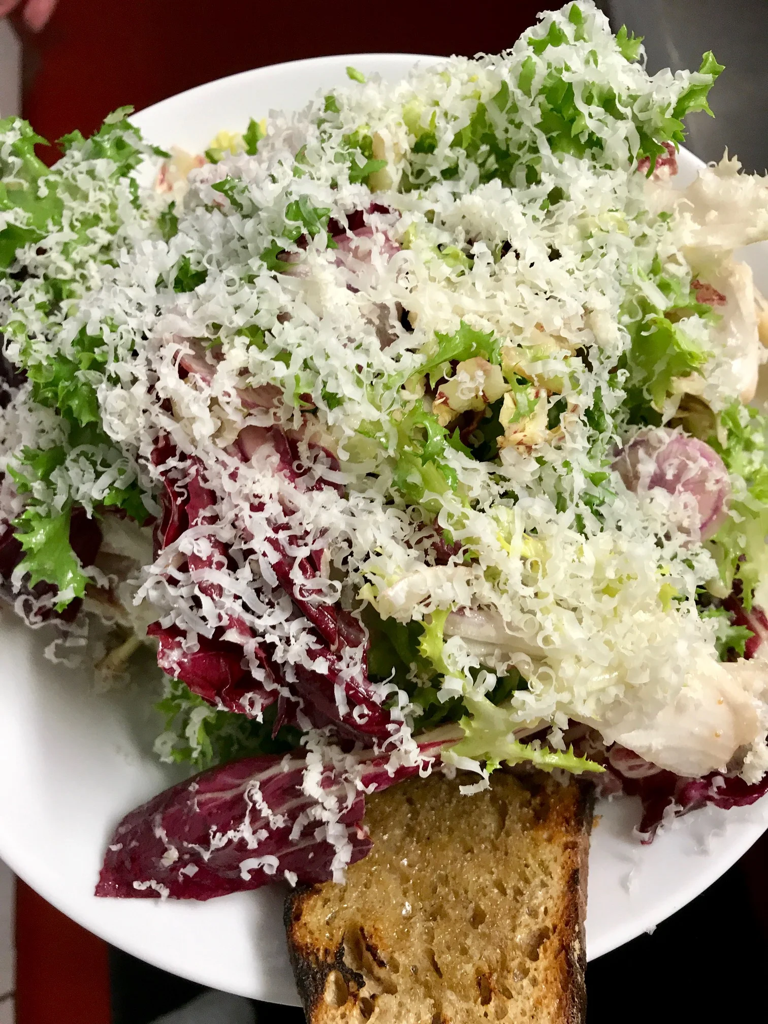 chicories.jpg