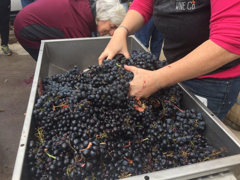 Southern Connecticut Wine Company.jpg