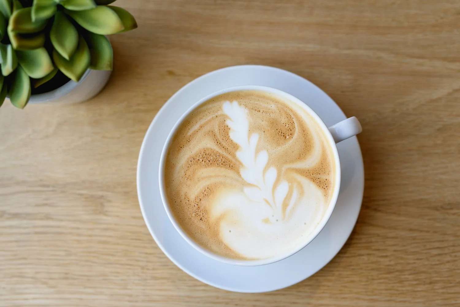 roost_coffe_darien-26.jpg