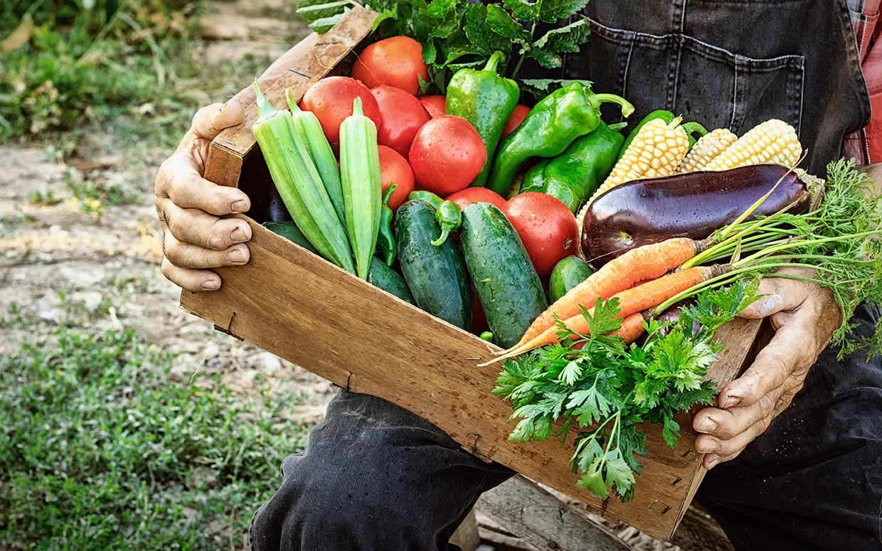 farmer-holding-csa-box.jpg