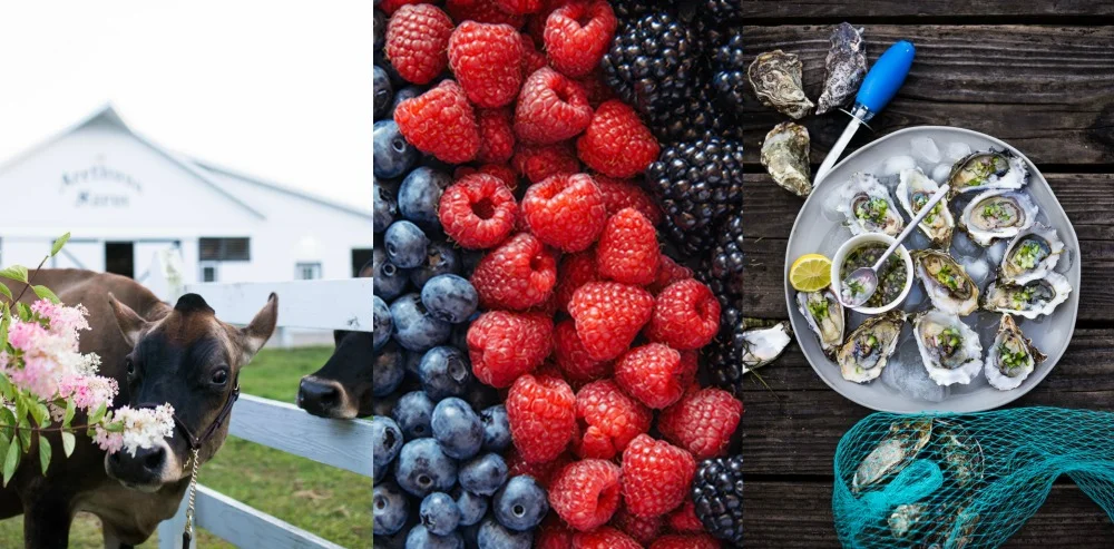 Arethusa_Farm_CT.jpg