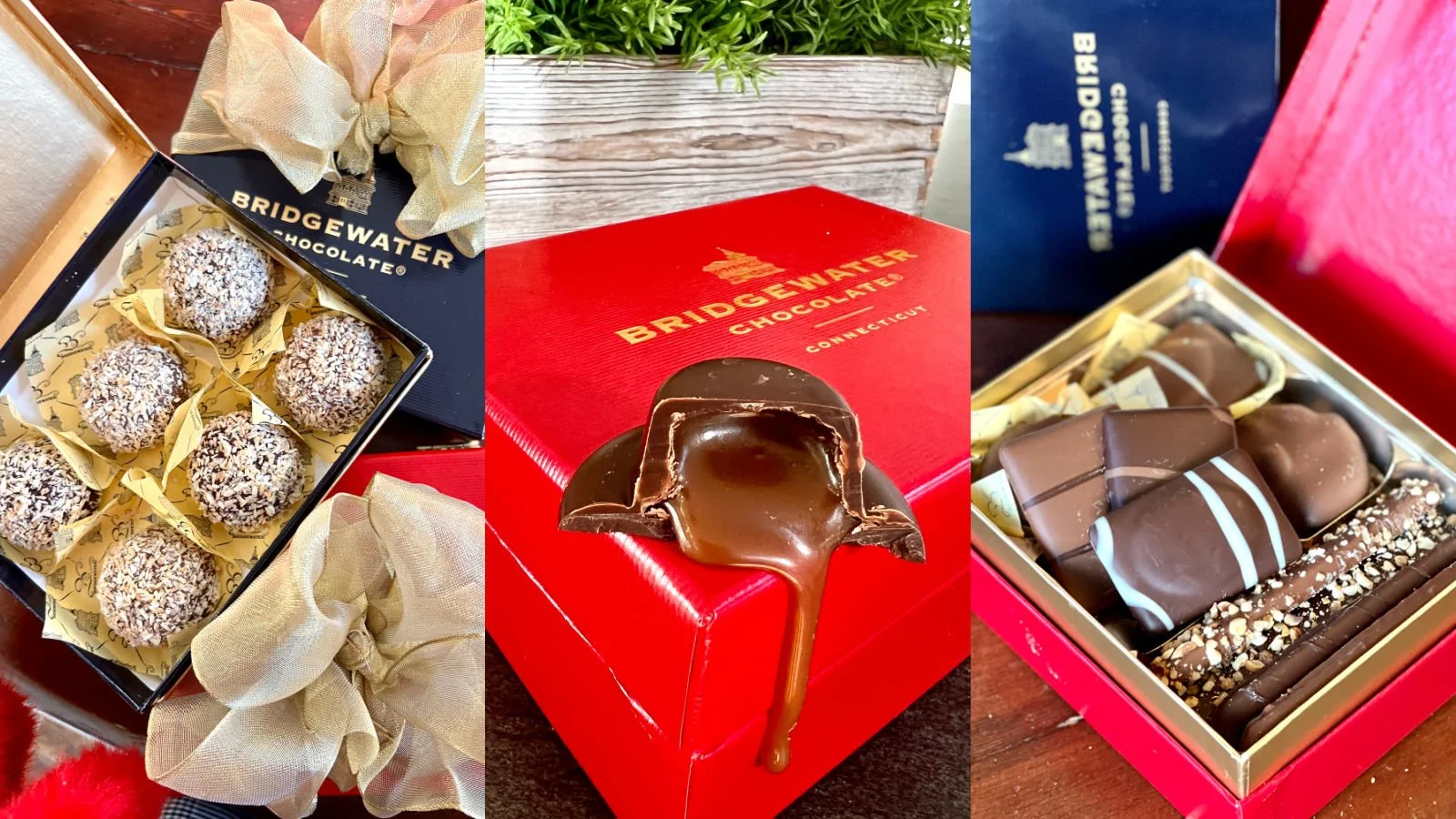 Iconic CT Chocolatier, Bridgewater Chocolate, Looks To Expand — CT Bites